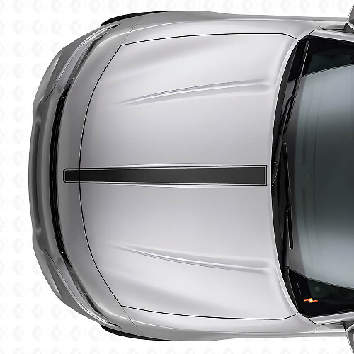 Dunne Omrande Motorkapstreep Vinyl Sticker voor Dodge Charger_1