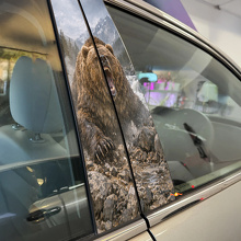 Bear Rage Deurstijl Vinyl Decal Set_2