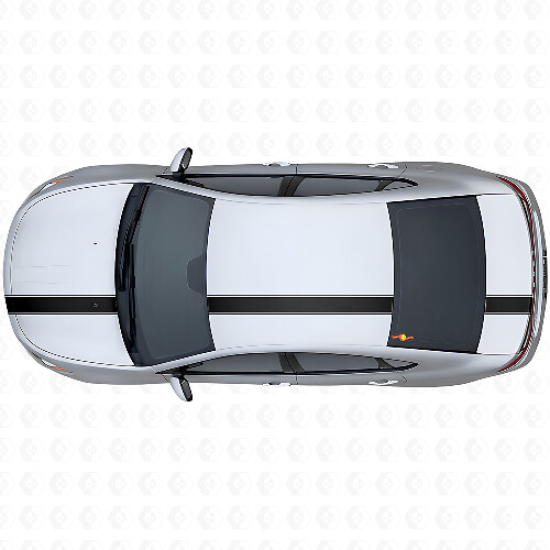 Racing Outline Stripe Bovenkant Zij Vinyl Decal Kit voor Dodge Dart 2013+