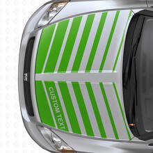 Aangepaste dubbele flitsstrepen motorkap vinyl sticker set voor Dodge Caliber 2007+_3