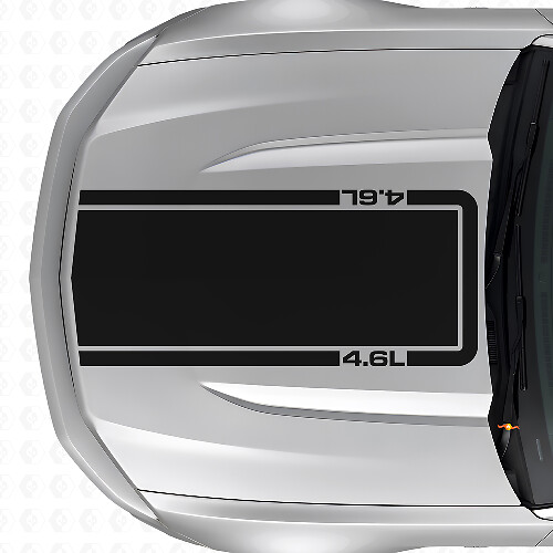 4.6L Motorkap Outline Stripe Vinyl Decal voor Musclecar Musclecarmodel Mach 1 2010-20