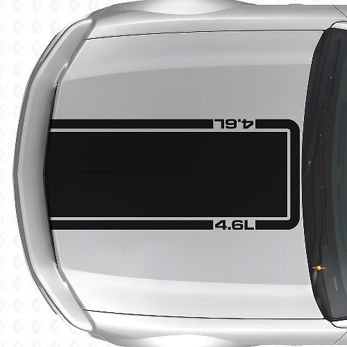 4.6L Motorkap Omrijmingsstreep Vinyl Decal voor Musclecar Musclecarmodel Mach 1 2005-09