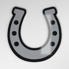 Horseshoe 3D Acryl Auto Embleem_4