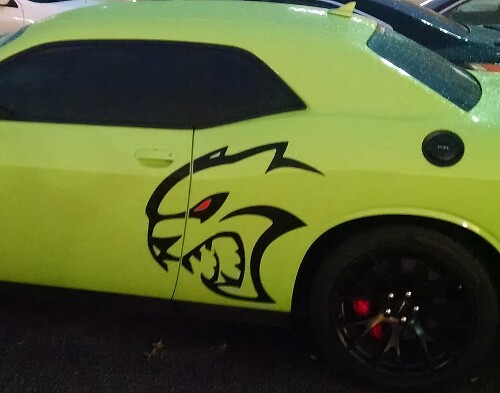 Hallcat stijl zij vinyl decal kit voor Dodge Challenger