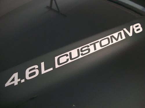 Set van 4.6L Triton V8 CUSTOM Letters Motorkap Vinyl Stickers voor Musclecar truck 1999-2010