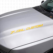Nieuwe 7.3L POWERSTROKE Hood sticker embleem stijl sticker Musclecar F250 F350 Turbo Diesel
_6