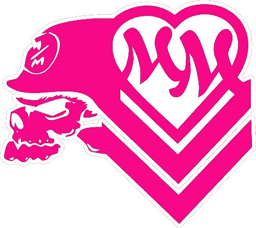 Metal Mulisha Stijl Schedel Hart Vinyl Decal Set
