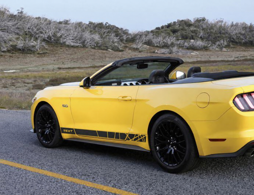 TEXT Accent Stripes Zijkant Vinylsticker voor Ford Mustang