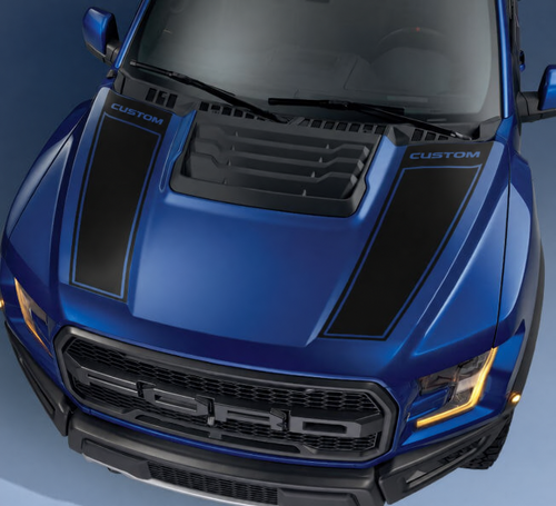 CUSTOM Dual Outline Stripes Motorkap Vinylsticker voor Ford F-150 2017