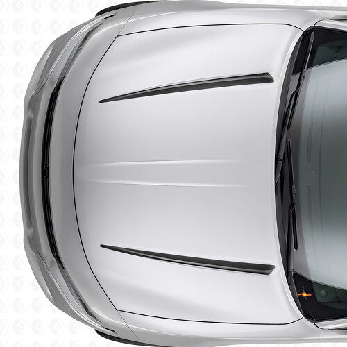 Dubbele Tnin Strepen Motorkap Vinyl Decal Sticker voor Dodge Charger 2015-2026