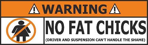 No Fat Chicks WAARSCHUWING Vinyl Stickers Grappige Kunst