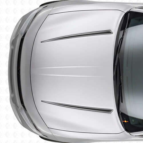 Dubbele Tnin Outline Strepen Motorkap Vinyl Decal Sticker voor Dodge Charger 2015-2026