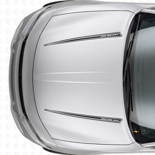 Dubbele aangepaste outline strepen motorkap vinyl sticker voor Dodge Charger 2015-2026