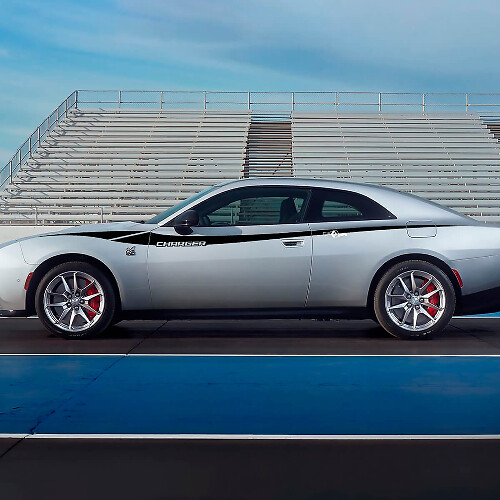 Apple panda macbook sticker sticker