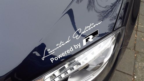 2x Limited edition VW R line Decal Sticker passend voor Volkswagen Touareg Kever Passat