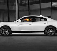 Daytona GT Style CUSTOM TEXT T/X Script Stripe Set — Vinylsticker (zijkant, dorpel) voor Dodge Charger 2006-2020_2