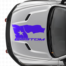 Verweerde Texas-vlag met belettering Hood Vinyl Decal voor Dodge Ram 2015-17_2