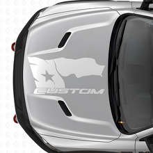 Verweerde Texas-vlag met belettering Hood Vinyl Decal voor Dodge Ram 2015-17_5