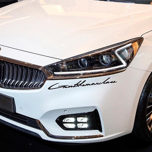 Lettering Decal Sticker Embleem Logo Vinyl 2 Voor Ford