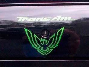 Set Kofferbakslot Vogelstickers voor Pontiac Firebird Trans Am WS6