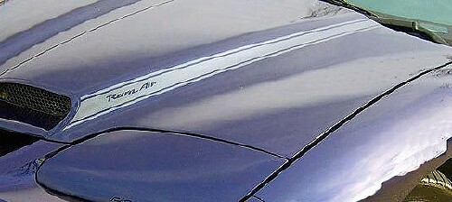 Blackbird motorkap luchtinlaatstreep vinyl stickers voor Pontiac Firebird