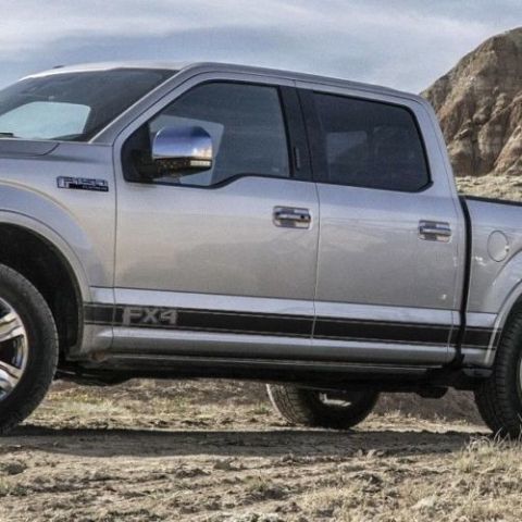 Ford F-150 2015-2018 mk13 FX4 sticker met grafische zijstreep