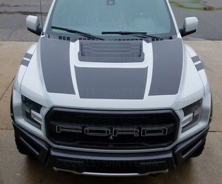2017 Ford Raptor F-150 Dual Hood grafische vinyl stripe sticker Predator Svt Rph-002