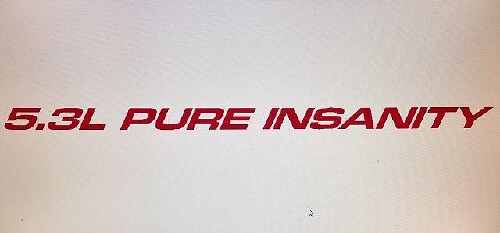 5.3L Pure Insanity motorkap vinyl decal set voor Chevy Silverado GMC Sierra