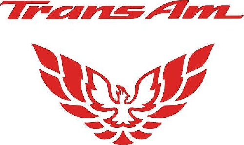 Trans Am achterlicht vulvinylsticker voor Pontiac Firebird 1998-2002