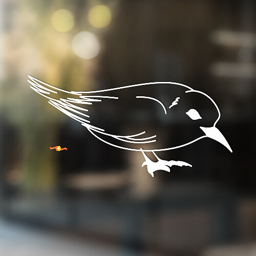 Common Starling Universele Vinyl Decal Sticker