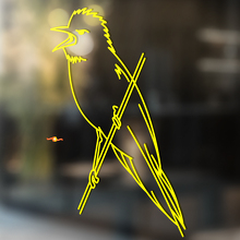 Steller's Jay Universele Vinyl Decal Sticker_4