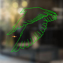 Falcon Bird Universele Vinyl Decal Sticker_3