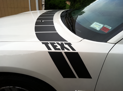 SEGMENTED COWL STREEP SET MOTORKAP VOORSPATBORD VINYL STICKER VOOR DODGE CHARGER 2005-2010