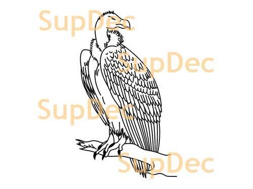 Adelaar Vinyl Kunst Muur Raam Badkamer Sticker Decal verwijderbaar #2
