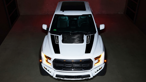 CUSTOM Rally Accent Paar Motorkap Vinyl Decal Sticker voor Ford F-150 2016-2018