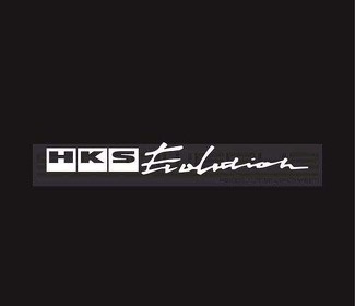 HKS Evolution sticker sticker JDM Racing mod Honda Toyota turbo uitlaat paar