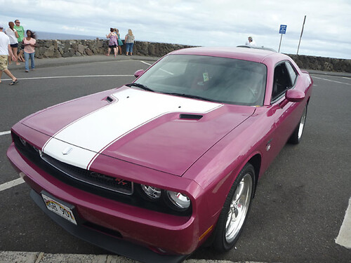 Vintage Hood Decal Kit Decals Stickers voor 2008 - 2014 Dodge Challenger uit één stuk
