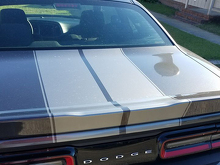 16-delig Style Rally Stripe Sticker Decal Kit voor Dodge Challenger 2015 & later 2