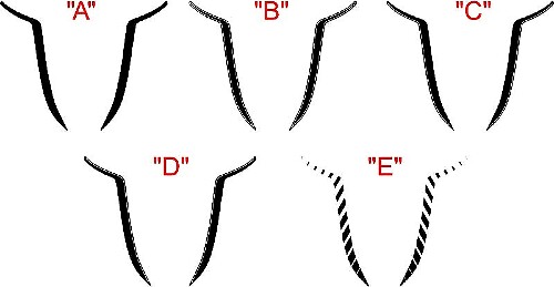 2015 en later Dodge Charger SRT / HELLCAT Hood Spear Accent Stripe Kit