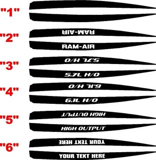 2006-2010 Charger Ram-Air Hood Side Spear stickerset