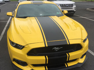 2015 & Up Ford Mustang Super Snake Style Stripe Kits Vinyl Decals Stickers