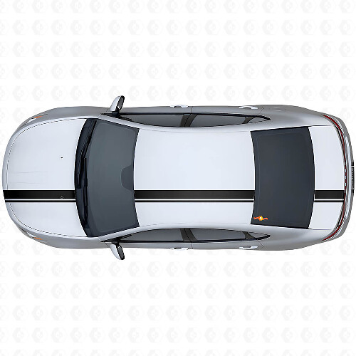 Vinylstickerkit bovenkant met dubbele strepen in verschillende breedtes voor Dodge Dart 2013+