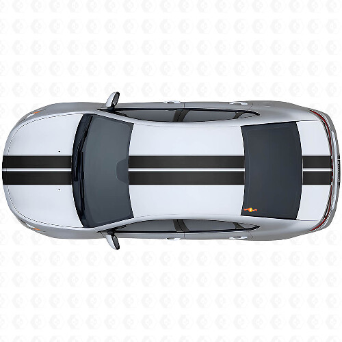 Dubbele Contourstrepen Voorzijde Bovenste Achter Vinyl Decal Kit voor Dodge Dart 2013+