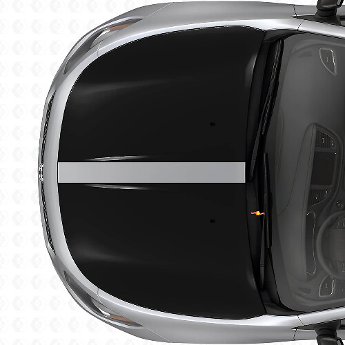 Dubbele Blackout Motorkapstrepen Vinyl Decal Set voor Dodge Dart 2013+