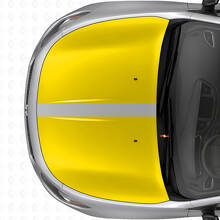 Dubbele Blackout Motorkapstrepen Vinyl Decal Set voor Dodge Dart 2013+_5