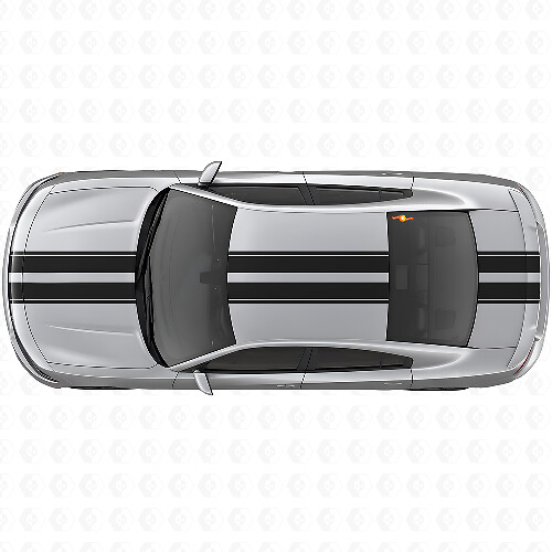 Dubbele Racing Bovenlichaam Strepen Vinyl Decal Kit voor Dodge Charger