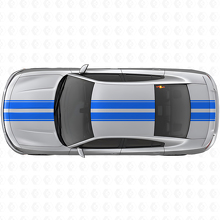 Dubbele Racing Bovenlichaam Strepen Vinyl Decal Kit voor Dodge Charger_2