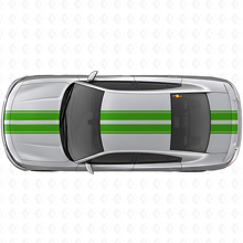 Dubbele Racing Bovenlichaam Strepen Vinyl Decal Kit voor Dodge Charger_3