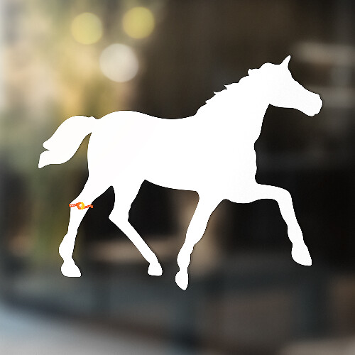 Paarden Vinyl Kunst Muur Raam Badkamer Sticker Decal #1
