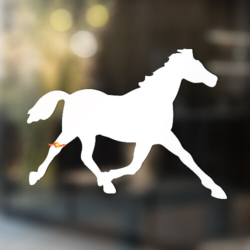 Paard vinyl kunst muur raam badkamer sticker sticker #2
